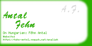antal fehn business card